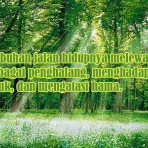 hutan kehidupan