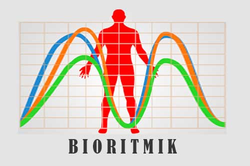 Pendekatan Teori Bioritmik