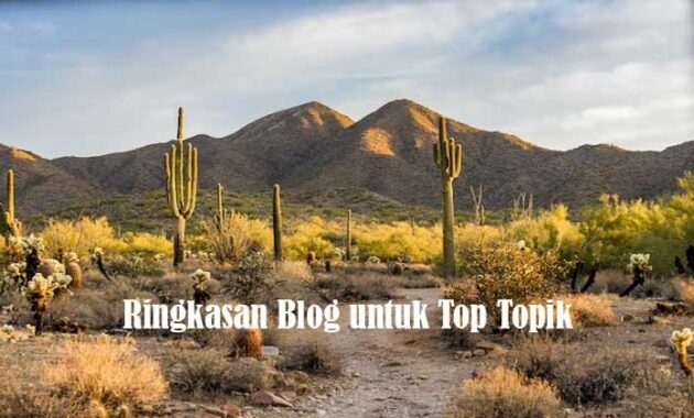 Ringkasan Blog untuk Top Topik