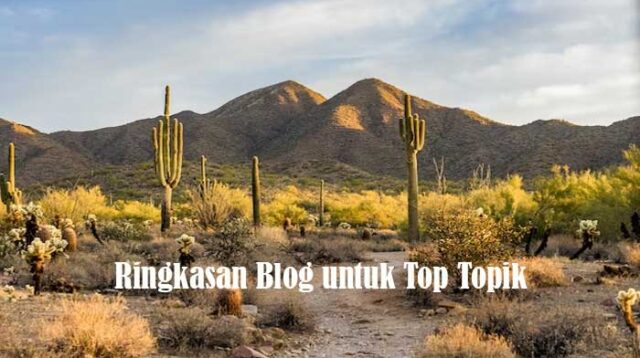 Ringkasan Blog untuk Top Topik