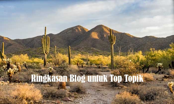 Ringkasan Blog untuk Top Topik