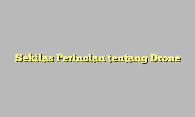 Sekilas Perincian tentang Drone