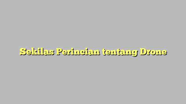 Sekilas Perincian tentang Drone